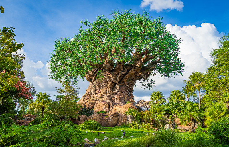 Animal kingdom