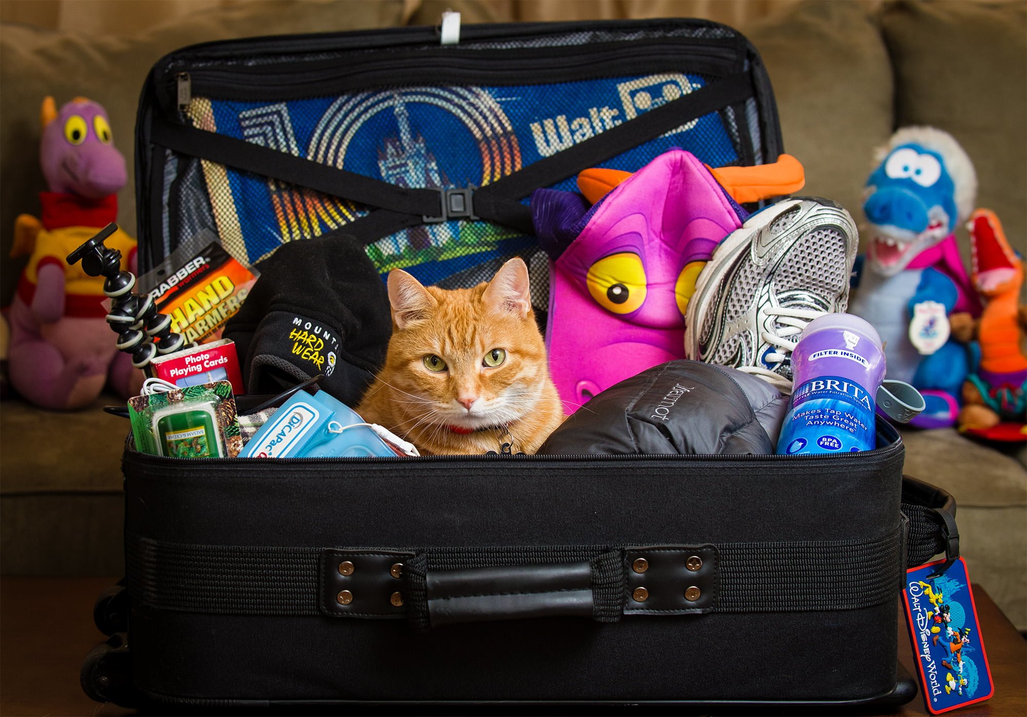 A great packing list for Disney with unique items you probably wouldn't consider!